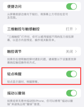 白碱滩苹果授权维修站分享iPhone轻点无法唤醒怎么办