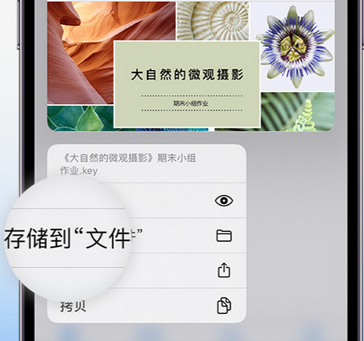 白碱滩apple维修中心分享iPhone文件应用中存储和找到下载文件