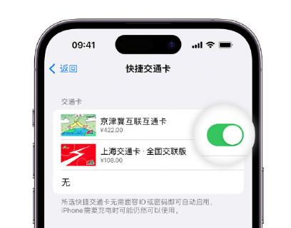 白碱滩apple维修点分享iPhone上更换Apple Pay快捷交通卡手绘卡面 