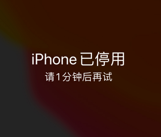 白碱滩苹果手机维修分享:iPhone 显示“不可用”或“已停用”怎么办？还能保留数据吗？ 