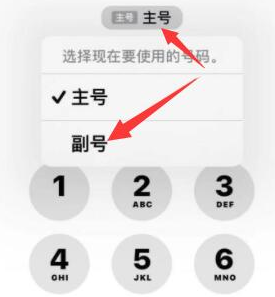 白碱滩苹果14维修店分享iPhone 14 Pro Max使用副卡打电话的方法 