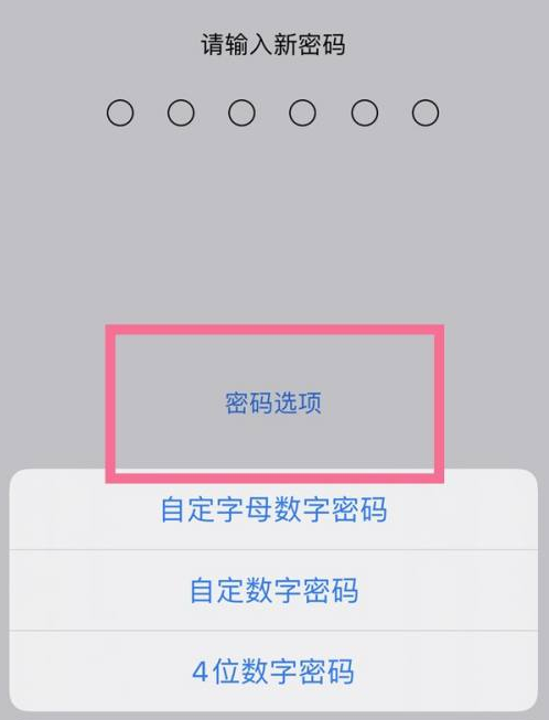 白碱滩苹果14维修分享iPhone 14plus设置密码的方法 