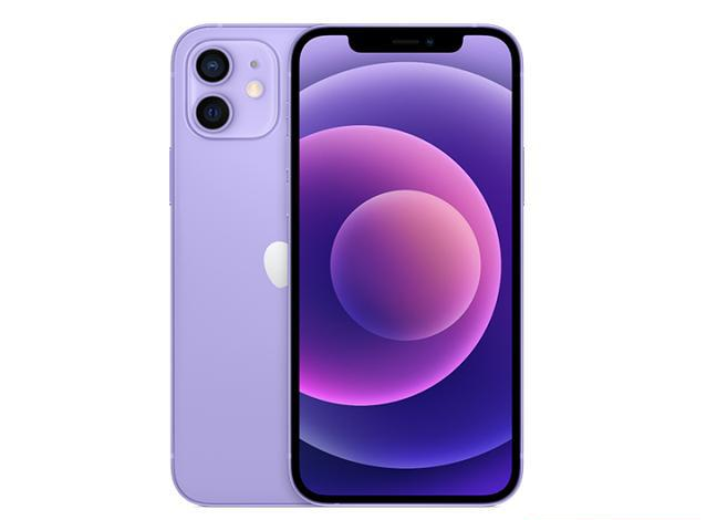 白碱滩苹果手机维修分享现阶段要不要入手紫色版iPhone12 