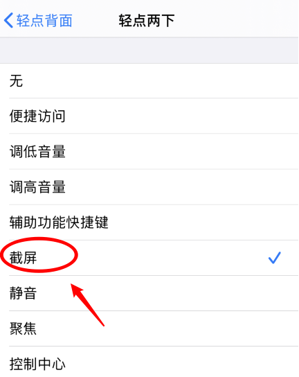 白碱滩苹果手机维修分享iPhone12如何启用双击截屏 